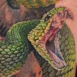 Tattoos - Snake skull - 128056